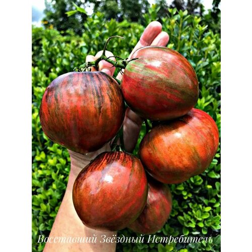 ������ ������ ������������� ������ ����� ���������� ����