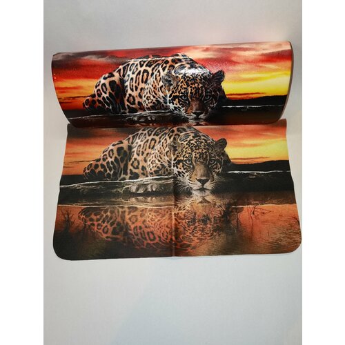 ������ ������ ������ ��� ����� �� ������� /������ ��� ����� ������� ����