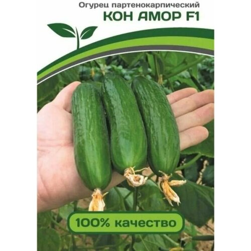 ������ ������ ������������� ������ ������ ��� ���� F1 ����