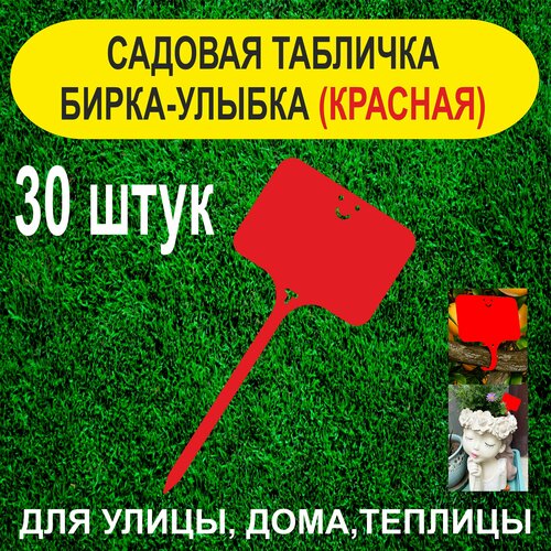 ������ ������ ������� ����� - ������. �������� ��� ��������. 30 ���� (�������) ����