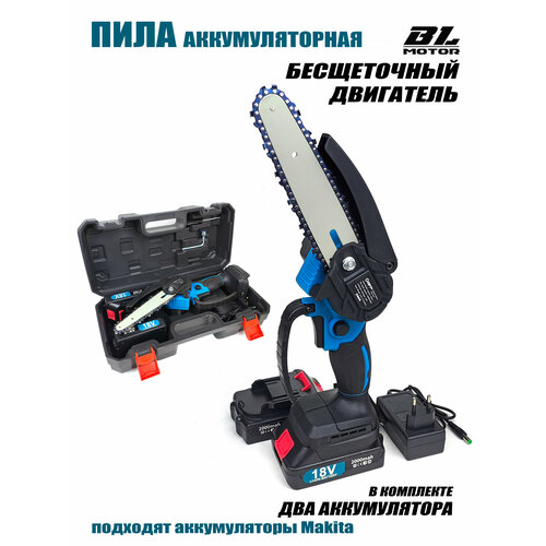 ������ ������ ���� �������������� ����������� ����