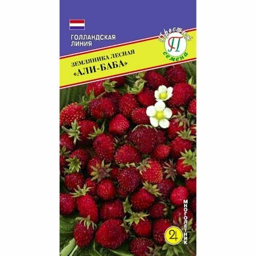 ������ ������ ��������� ������ ���-����. ������. �����������. ��������� ����. ����� �������, ������ 5 ��. ������ �������-�����, �����-������� ����