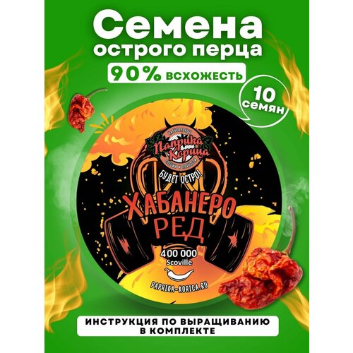 ������ ������ ������ ������� ����� �������� ��� 10���� ����