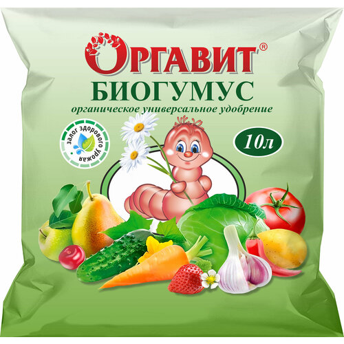 ������ ������ ������������ ��������� ������� �������� 10� ����