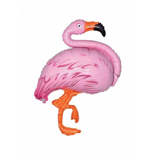 ������ ������ ��� �� ������� ���� ������ �������� ����