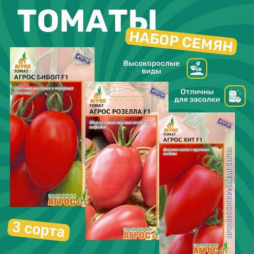 ������ ������ ������ �������/ ����� ��� , �������, ����� ����