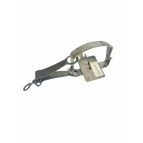 ������ ������ ������ 