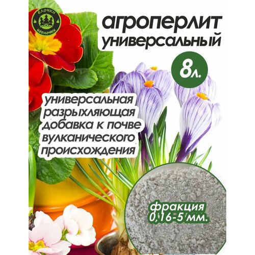 ������ ������ ���������� ��� �������� � ������ 8 ������ ����