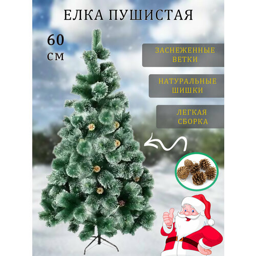 ������ ������ ������������� ���� �� ���. �������� ������ � ���. ������ 60 ��. ����