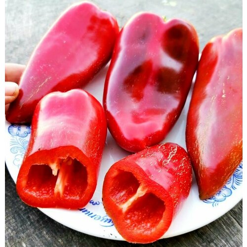 ������ ������ ������������� ������ ����� �������� ����� ���� ����