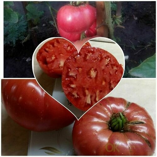 ������ ������ ������������� ������ ������ ����������� ������� ������� ����