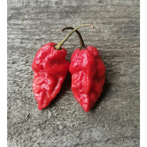 ������ ������ ������������� ������ ����� ������ ���� �������� ����