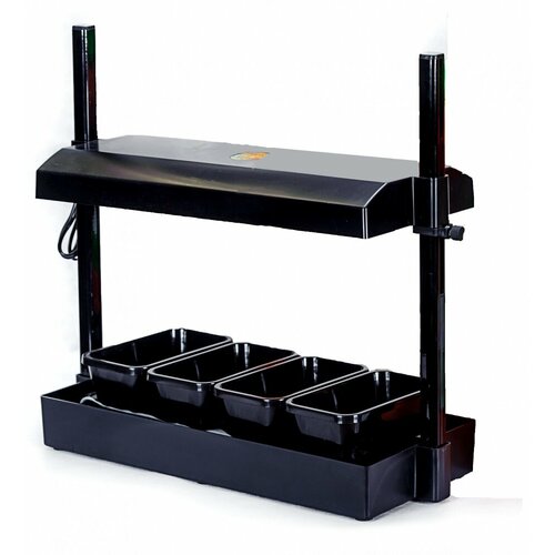 ������ ������ ���� ������ �������, ���������, ��� ��������, �������, ������ ����