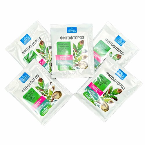 ������ ������ ���������� 30�� / 5�� ����