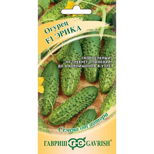 ������ ������ ������ ������ ����� F1, 10��, ������, ������ �� ������ ����