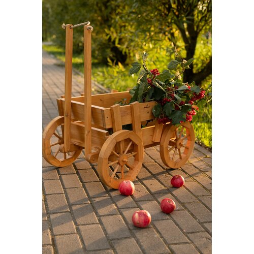 ������ ������ ������ ������������ ��� ���� ����