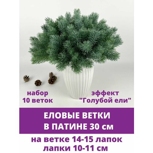 ������ ������ ������ ����� � ������, ������ 