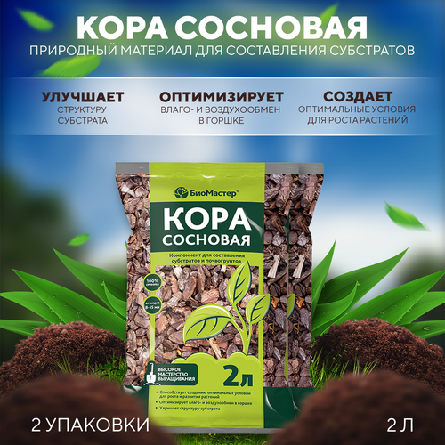 ������ ������ ��������� �������� ��� ����������� ���������� � ������������� ����� ���� ��������, ��������� 2 � 2 �� ����