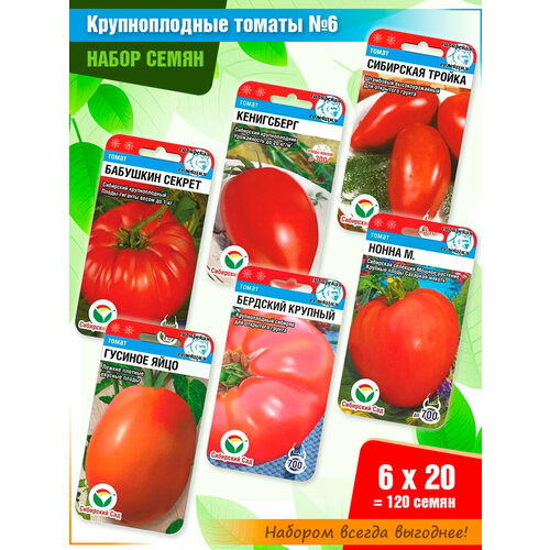 ������ ������ ����� ����� ������� 