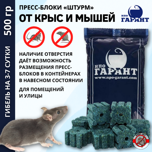 ������ ������ ����� �������� ��� �������� �����-����� 500� ����