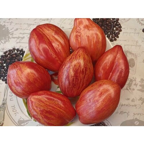 ������ ������ ������������� ������ ������ ���� ���� ������� ����