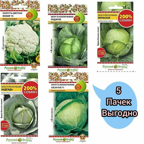 ������ ������ ����� �������: �������, �����, �������, ��������, ������� (5 �����) ����