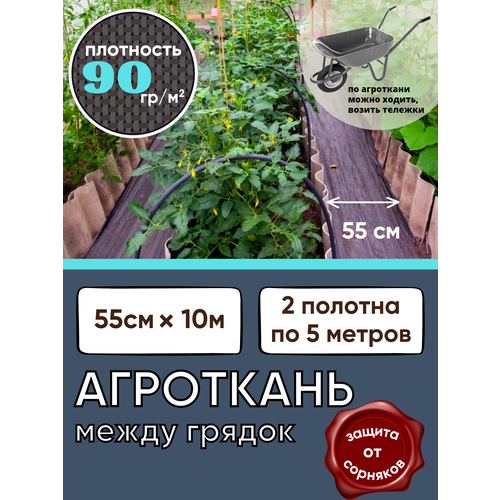 ������ ������ ��������� ����� ������ ����