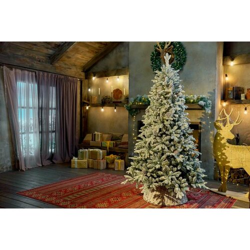 ������ ������ ������������� ���� Saint Paul LED ����������� � ����������� ������ 240 �� ����