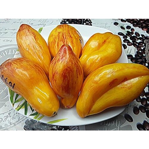 ������ ������ ������������� ������ ������ Ƹ���� ������� ����