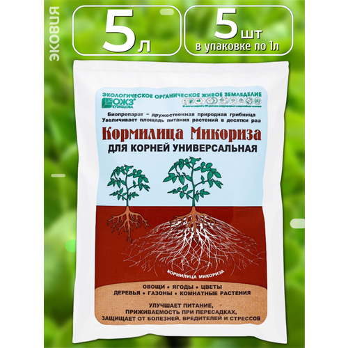 ������ ������ ��������� ��� ������ ������������� ��������� ��������, 5 �� ����