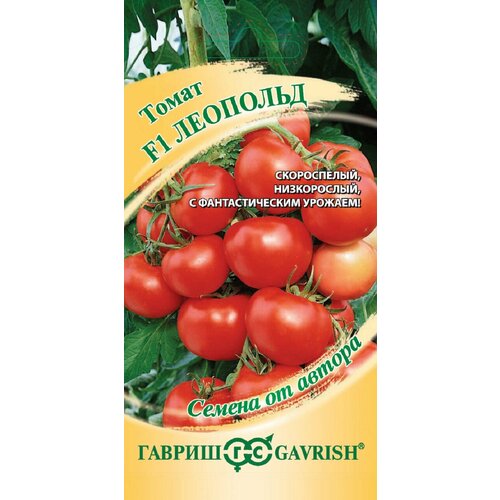 ������ ������ ������ ����� �������� F1, 12��, ������, ������ �� ������ ����