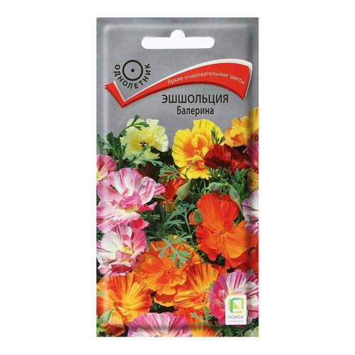 ������ ������ ������ ������ ��������� 