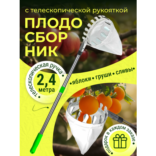 ������ ������ ������������ ��� ������� � ��������������� ��������� ����