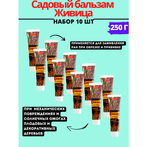 ������ ������ ����� ������� ������� ������ 250 �, 10�� ����