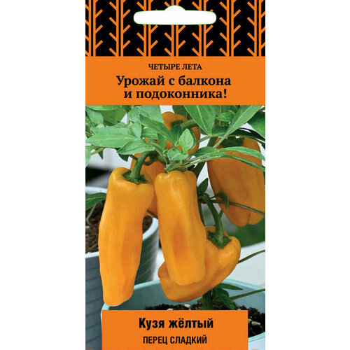 ������ ������ ������ ����� ���� ����� 5�� (�����) ������ ���� ����