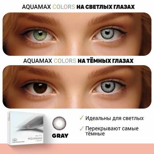    Pegavision Aquamax Colors, 2 ., R 8,6, D -6, gray, 1 .   -     , -,   