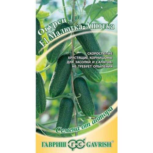 ������ ������ ������ ������ �������-������ F1 �������� 10�� ������������������ ������ (������) ����� ����