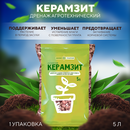 ������ ������ �������� ���������������, ������ ���������� 5 � ����