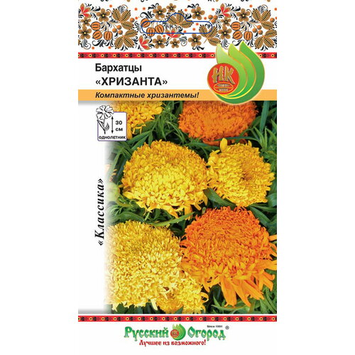 ������ ������ �������� �������� ��. � 40 ����� �� ����