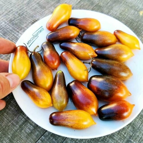 ������ ������ ������������� ������ ������ ������ ������� ����