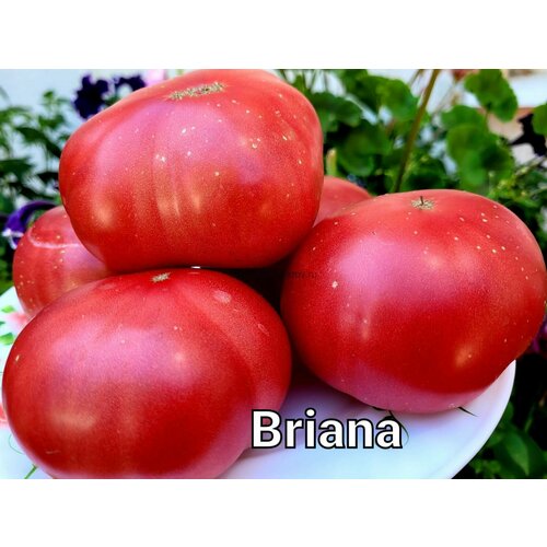 ������ ������ ������������� ������ ������ ������� ����