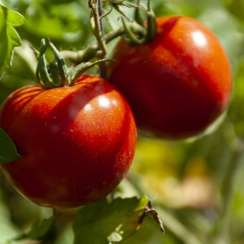 ������ ������ ������������� ������ ������ �� ��������� ����