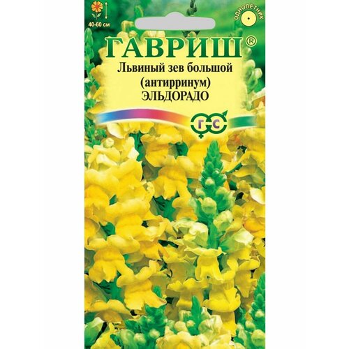 ������ ������ ���������� (������� ���) ���������, 0,05�, ������ ����