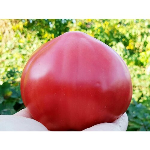 ������ ������ ������������� ������ ������ ������� ����