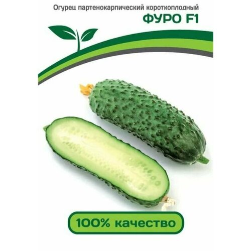 ������ ������ ������������� ������ ������ ���� F1 ����