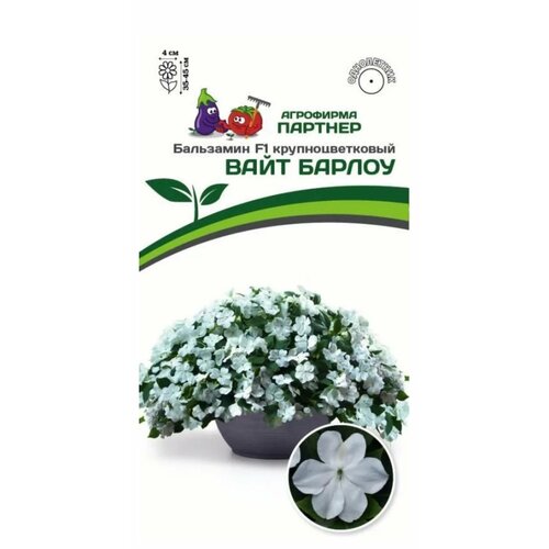 ������ ������ ������ ���������� ������� ���������������� 