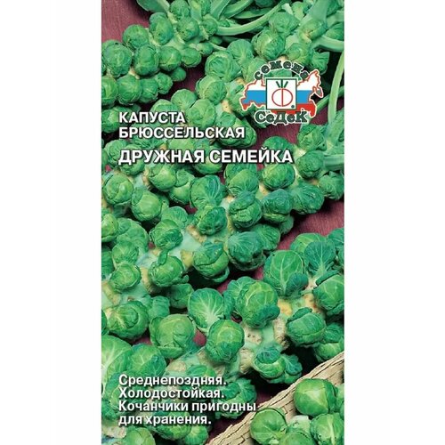 ������ ������ ������� ������������ 