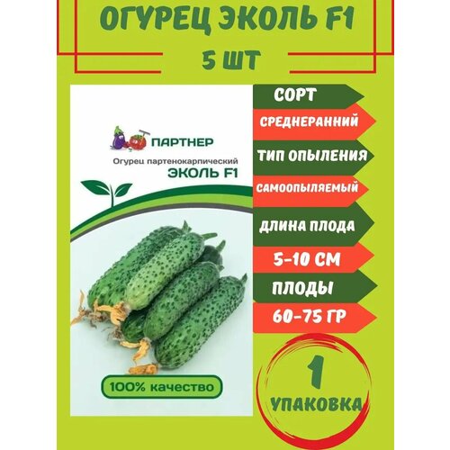 ������ ������ ������ ������ ����� F1, 5 ����� 1 �������� ����