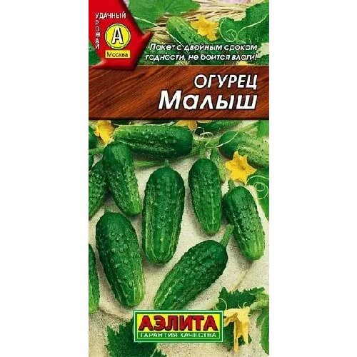 ������ ������ ������ �����, ������ ������ 10�� ����