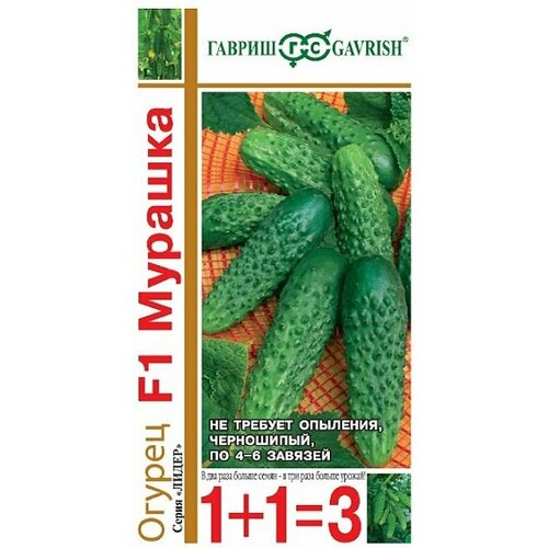 ������ ������ ������ ������� F1, 1+1, 20�� ������ ����